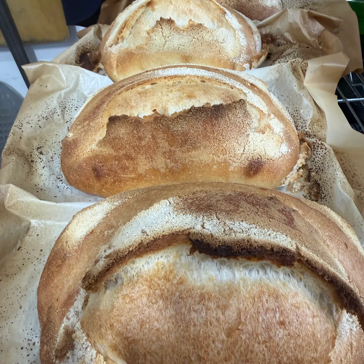 FoodLAB Forno bread loaf